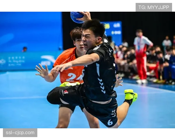 深度报道:退役手球运动员的再就业困境与社会支持体系 深度报道:退役手球运动员的再就业困境与社会支持体系